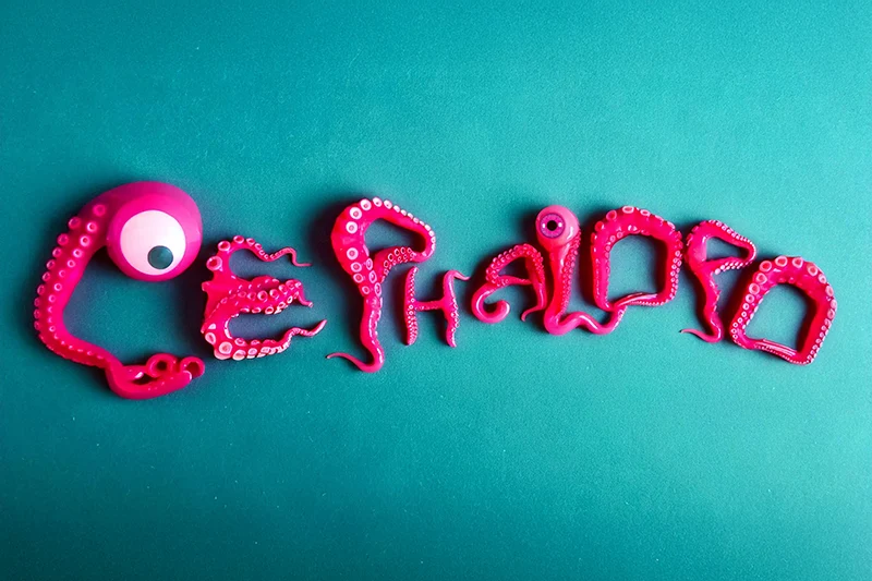 plastic_inflated-tentacles-cephalopo-800-533