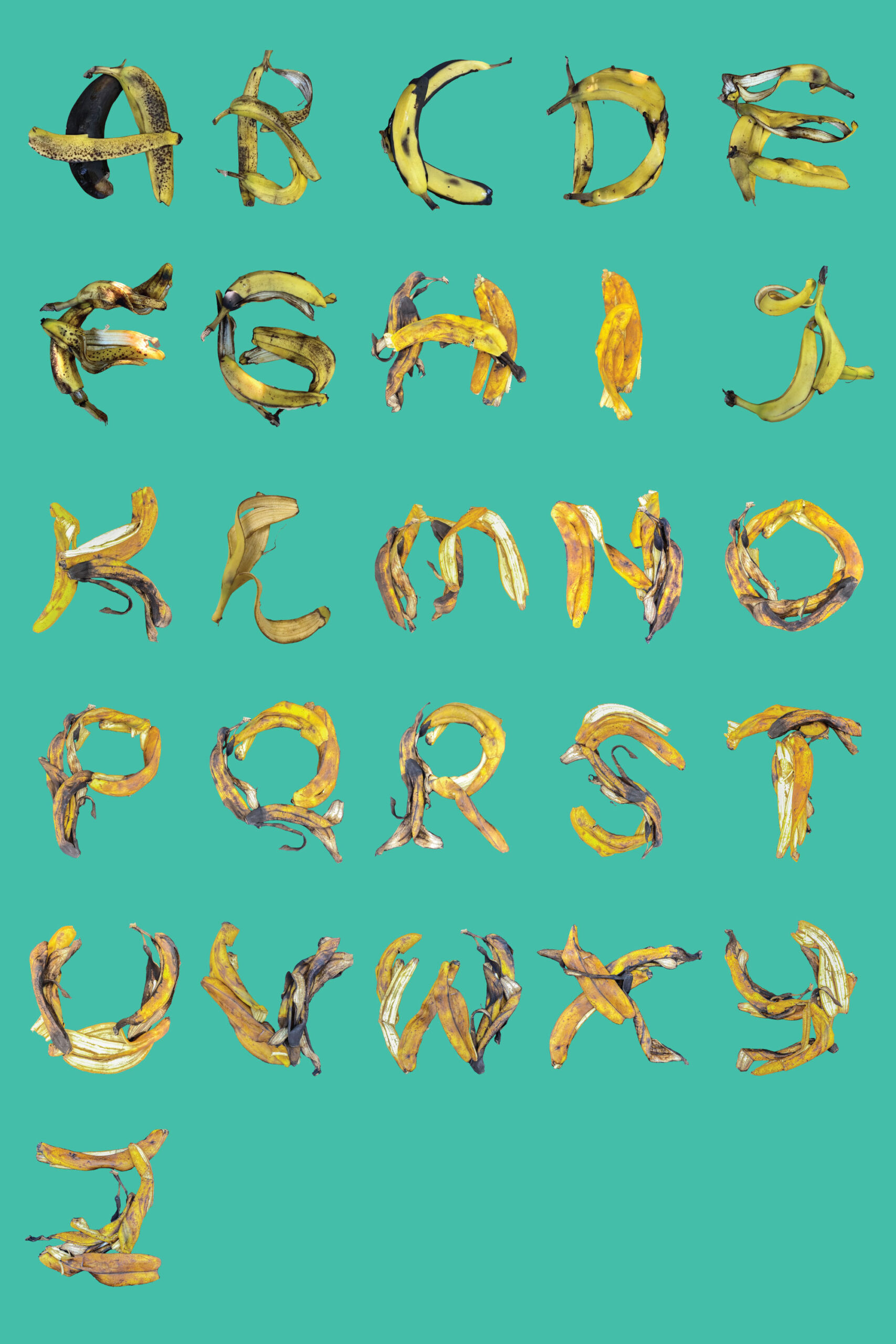 A creative poster showcasing the 26 English alphabets, each letter intricately crafted using banana peels. This unique design brings a playful and sustainable twist to typography, blending art with eco-conscious creativity.