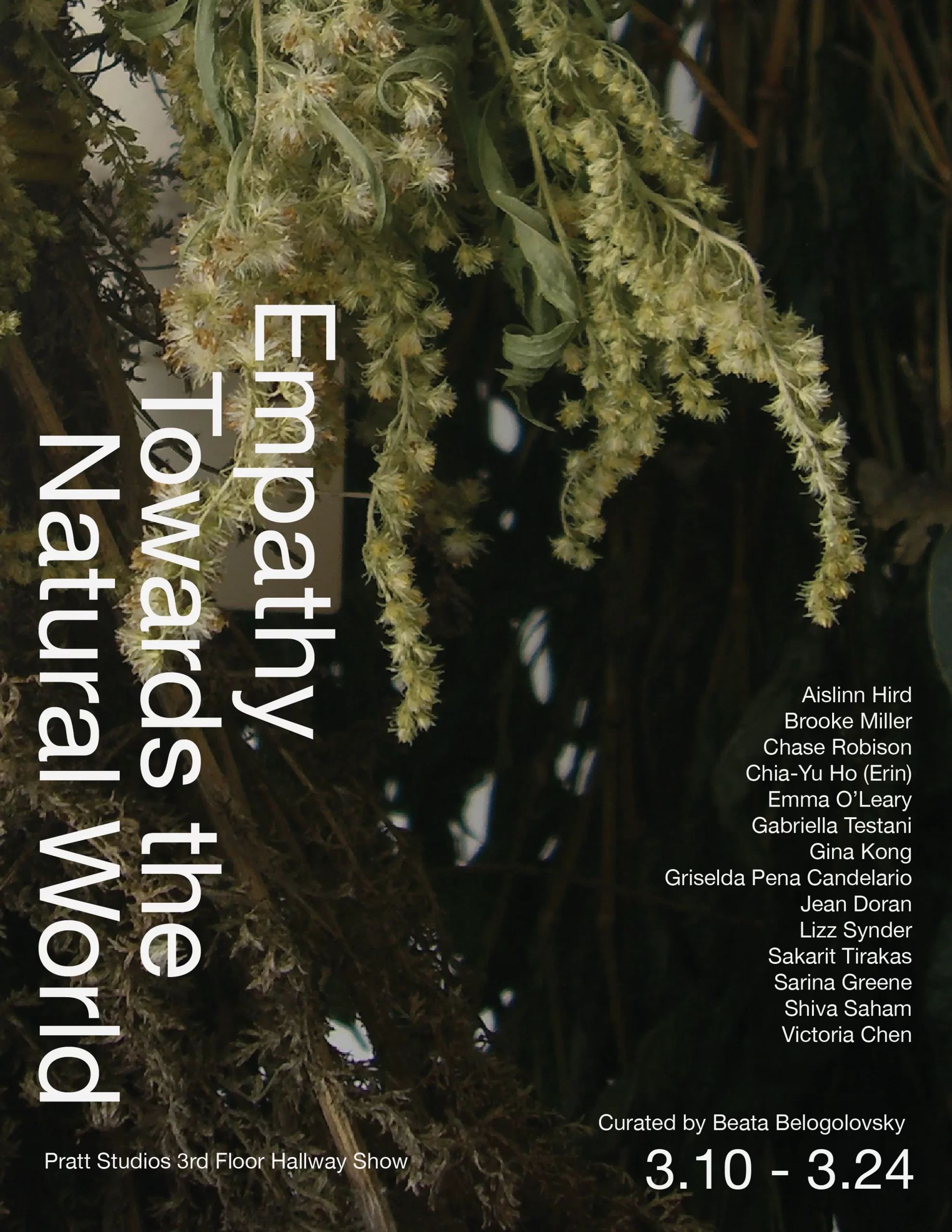 empathy-towards-the-natural-world_02