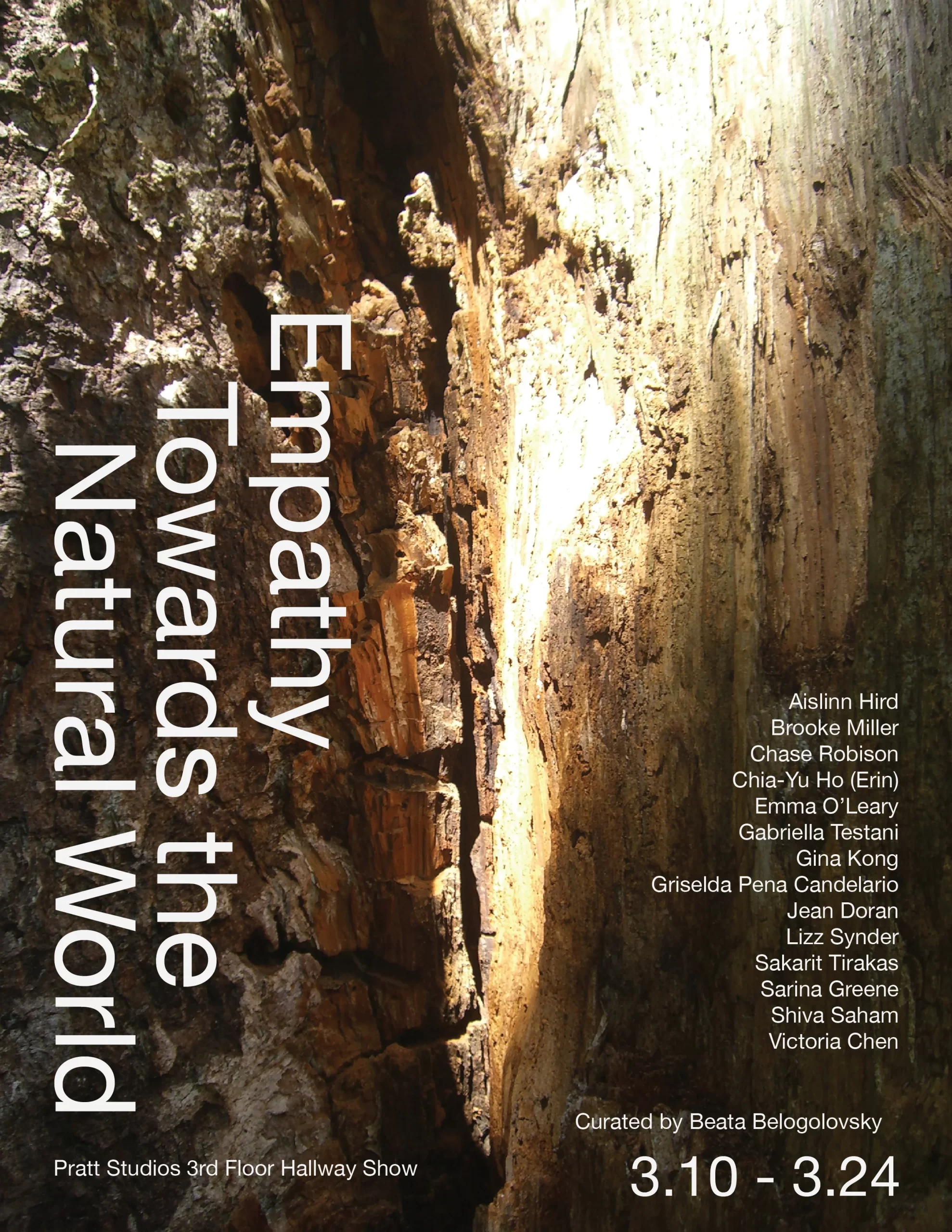 empathy-towards-the-natural-world_03