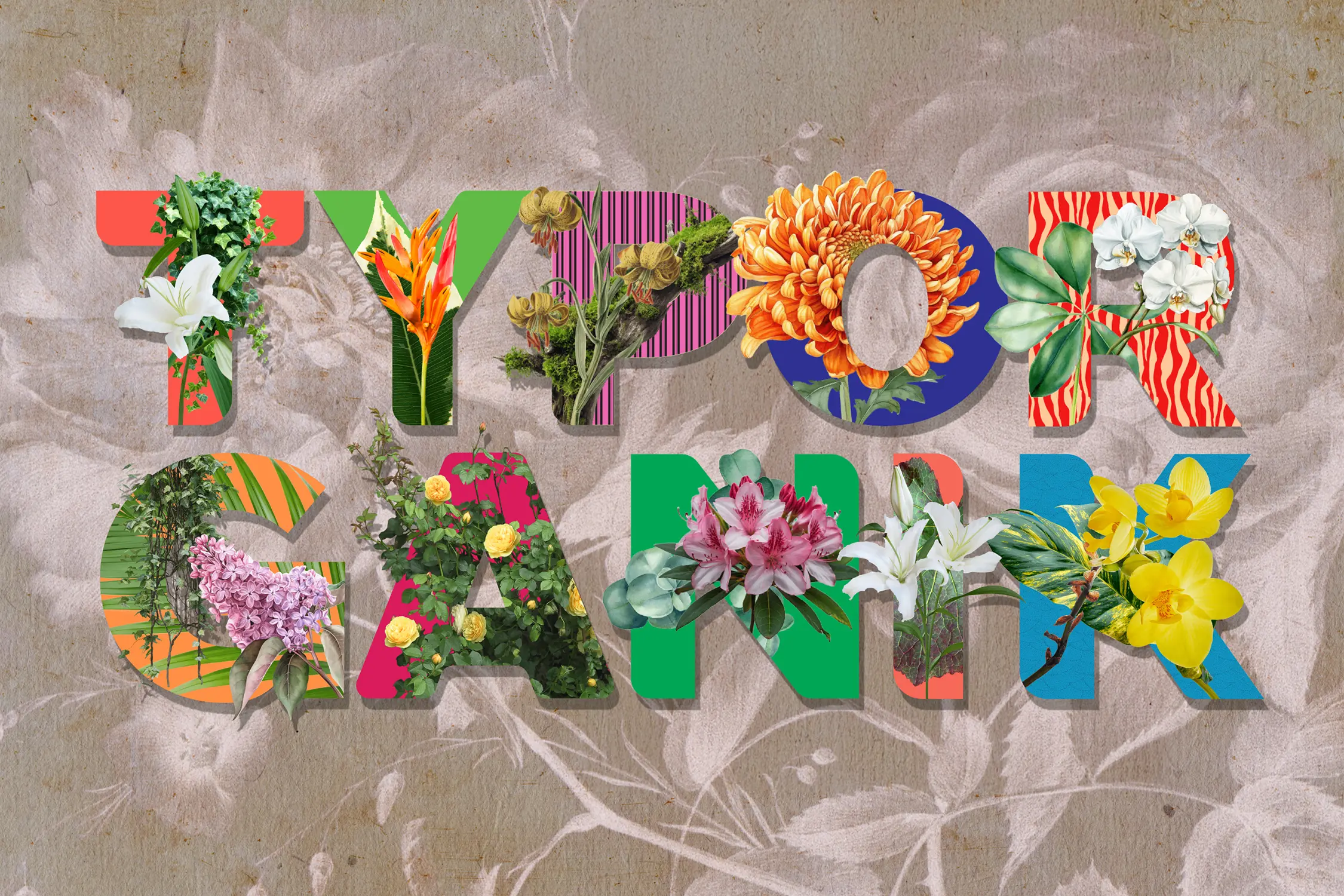 Typorganik Display typeface spelling 'Typorganik' in uppercase; each letter integrates Trompe-l'œil botanical elements, intertwined vines, layered foliage, and blooming forms, that embody the fusion of typography and organic growth, presenting the typeface’s name as a living manifesto.
