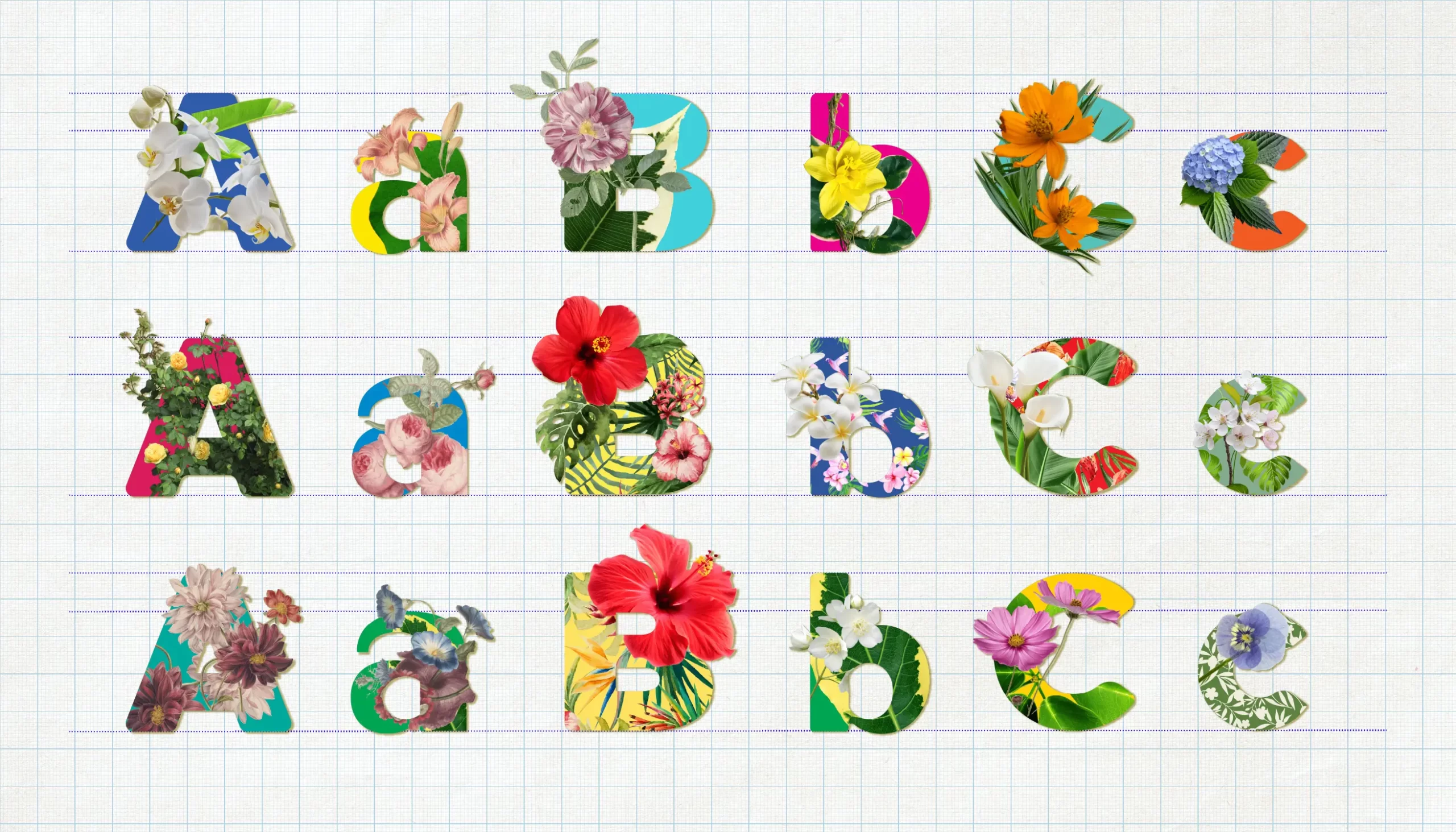 Typorganik Display typeface, letters A–C in uppercase and lowercase; 18 letters featuring Trompe-l'œil effects with flowers, vines, and organic elements growing beyond each letterform.