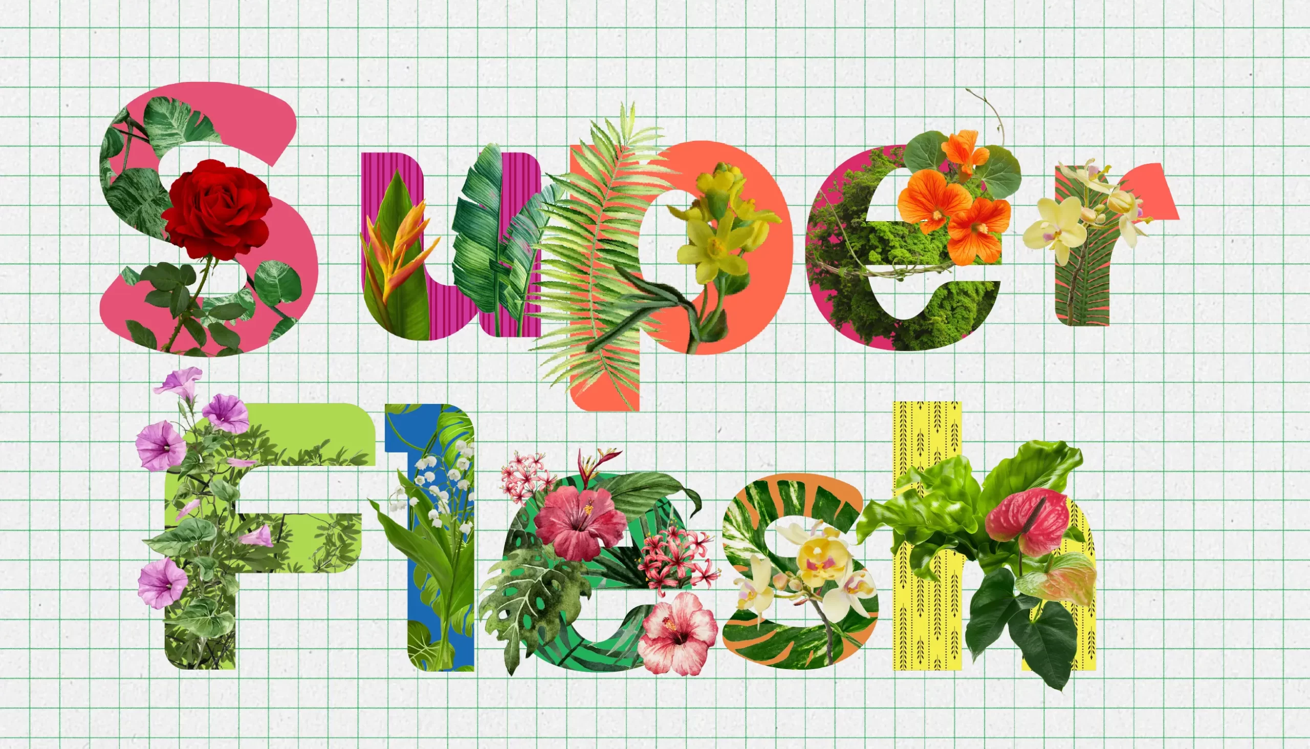 Typorganik Display typeface spelling 'Super Flesh' in uppercase; and letter case, each letter is enveloped in Trompe-l'œil botanical textures—lush leaves, winding vines, and vibrant tropical flowers—that blur the boundary between typography and living matter, evoking a sense of sensuality, abundance, and organic transformation.